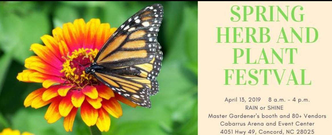 Plant and herb sale